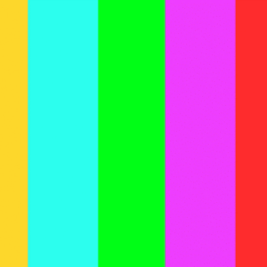 The Daily Villager Feature